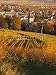 Wallmonkeys Peel and Stick Wall Decals - Village Dans Le Vignoble Alsacien En Automne - 24"H x 18"W Removable Graphic