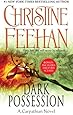 Dark Possession (Carpathian Novel, A)