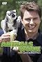 Animals At Work With John Barrowman [DVD] [2010]