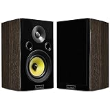 Fluance Signature Series HiFi Two-way Bookshelf Surround Sound Speakers for Home Theater and Music Systems (HFSW)