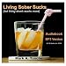 Chapter 12 - Life after liquor / Living Sober Sucks [Explicit]