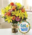 Flowers & Gifts - 1-800-flowers(r) fields of europe(tm) get well - Regular