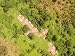 The Road Through This Village Has Been Diminished to Only a Footpath, Central African...