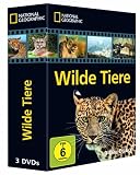 National Geographic - Wilde Tiere (3 DVDs)