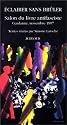 Eclairer sans brûler: Salon du livre antifasciste, Gardanne, novembre 1997