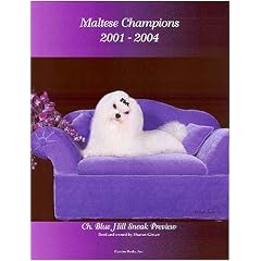 Maltese Champions, 2001-2004