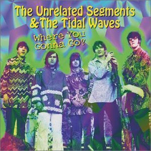 Unrelated Segments - Where You Gonna Go? - Zortam Music