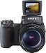 SONY DSC-R1 