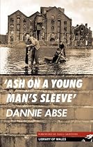 Ash on a Young Man's Sleeve (Library of Wales) (Library of Wales)