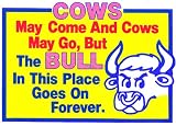Novelty Sign: Cows..Bulls (small)