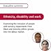 Book Ethnicity, Disability and Work: Examining the Inclusion of People with Sensory Impairments from Black and Minority Ethnic Groups into the Labour Marke