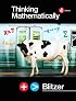 Thinking Mathematically