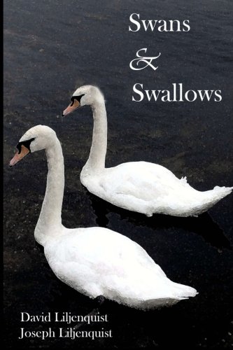 Swans and Swallows, by David K. Liljenquist, Joseph K. Liljenquist