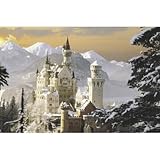 Schloss Neuschwanstein (Castle Photograph) Art Poster Print
