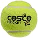 Cosco Light Weight Cricket Ball, Pack of 6 (Yellow) RS.340.00