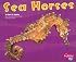 Sea Horses: Under the Sea (Under the Sea (Capstone Paperback))