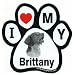 Brittany Paw Magnet (Black/White, 6in)