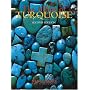The Allure Of Turquoise