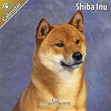 Kalender 2011 Shiba Inu