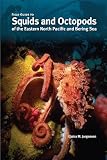 Field guide to squids and octopods of the Eastern North Pacific and Bering Sea