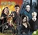 The World of Harry Potter 2011 Wall Calendar