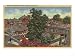 San Jose, California - View of Winchester Mystery House Giclee Poster Print, 24x18