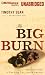 The Big Burn: Teddy Roosevelt & the Fire That Saved America
