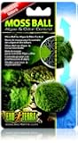 Exo Terra Moss Ball
