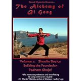 The Alchemy of Qi Gong Volume II: Shaolin Basics: Building the Foundation