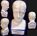 Phrenology Head Model Medical Psychology L.N. Fowler