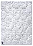 Billerbeck 5105440004 Naturdecke E45 Bamboo Superlight, 155 / 220 cm champagner