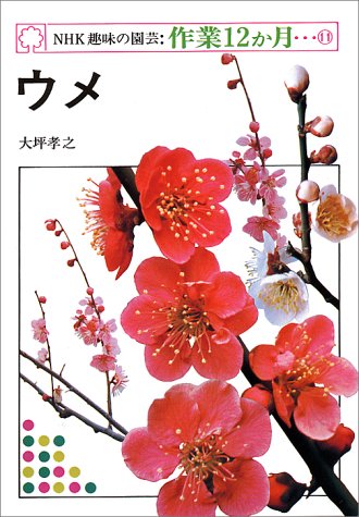 NHK��̣�α�ݡ����12���� 11  ����