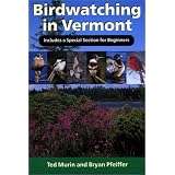 Birdwatching in Vermont ~ Ted Murin