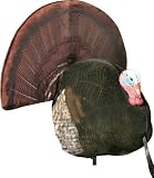 Flambeau Turkey