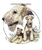 Airedale - Trio Image by Cindy Farmer