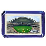 Toronto Blue Jays Rogers Centre Stadium Colorprint Paperweight