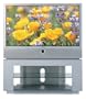 Samsung HLN4365W 43-Inch Widescreen Projection HDTV with DLP Technology