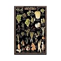 Asian Vegetables Poster Print
