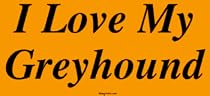 I Love My Greyhound Bumper Sticker