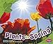 Plants in Spring (All About Spring)