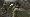 Call of Duty 3 (Xbox 360)