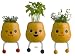 Taterpot Slim - Basil Mint Oregano Herb Plants Set