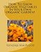 How To Grow Organic Vegetables In Your Own Organic Garden!
