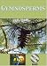 Gymnosperms DVD