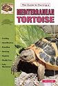 Mediterranean Tortoises