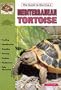 Mediterranean Tortoises