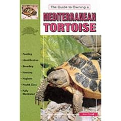 Mediterranean Tortoises