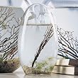 Small 5" Pod EcoSphere