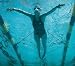 Sporting Goods : Stationary Swim Trainer