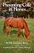 Preventing Colic in Horses
